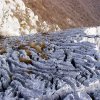 Riserva Naturale Sasso Malascarpa